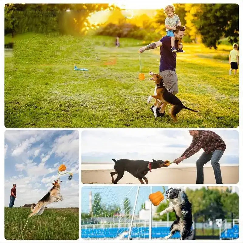 Interactive Dog Rope Fetch Toy – Tug & Throw Training Toy for Medium to Large Dogs - Image 2